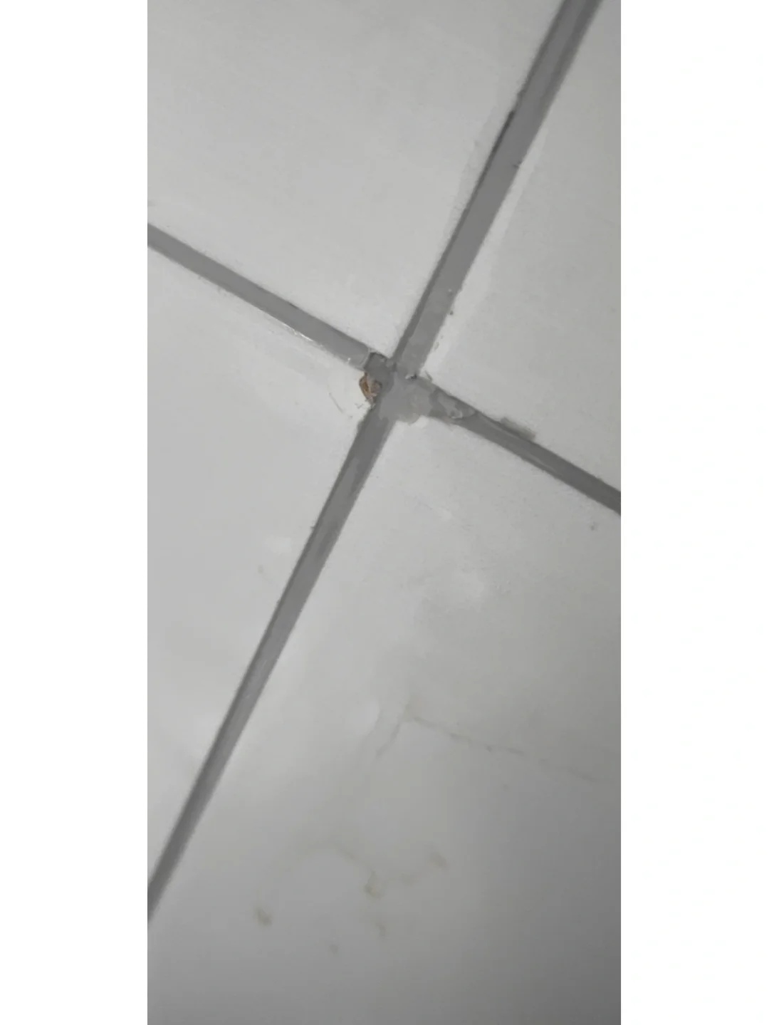 墙砖掉了几块怎么补救其他的砖(墙砖掉了几块怎么补救其他的砖不会掉)